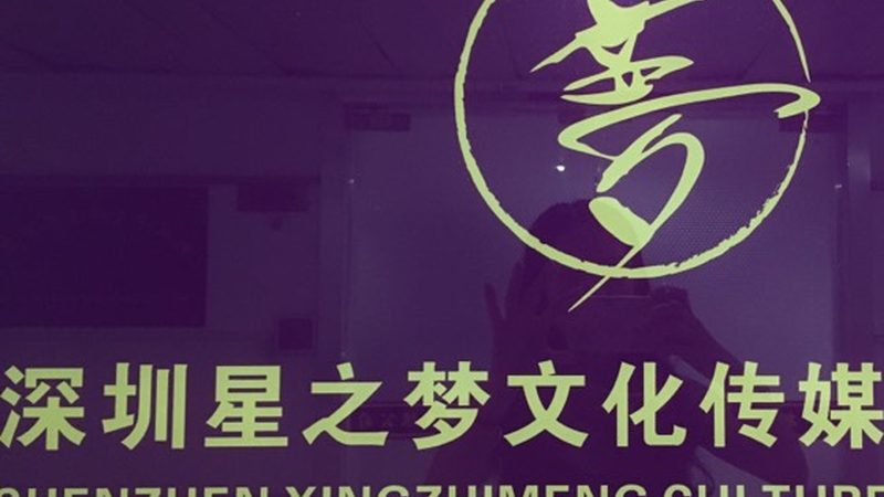 纪录片拍摄手法分类介绍：探寻影像艺术的多样表达