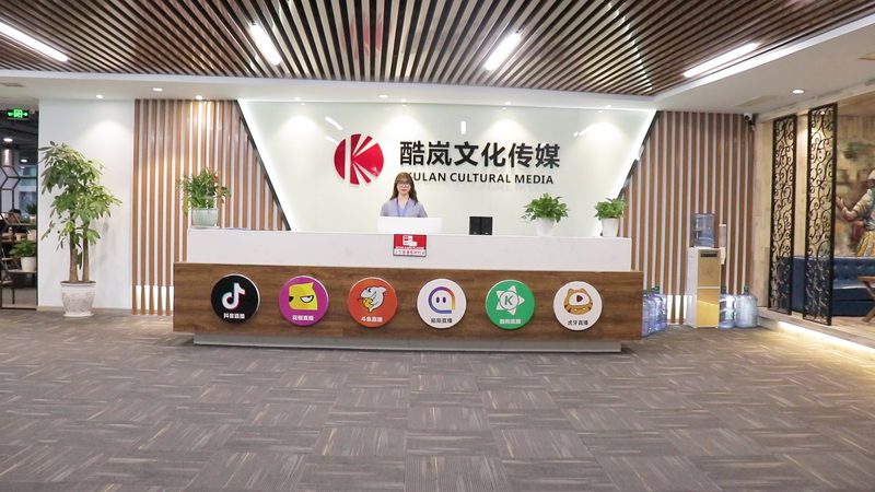 直播代运营服务合同范本2025：构建合作基石，保障权益共赢